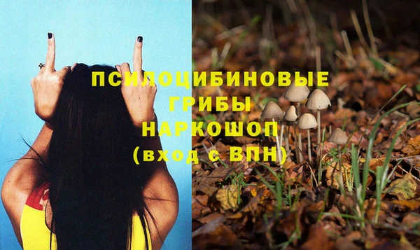 mdpv Нея