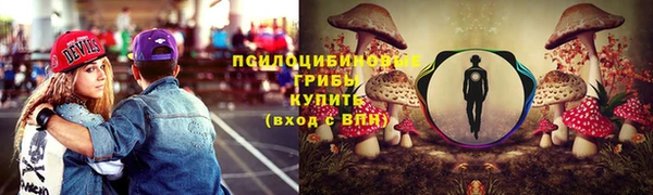 mdpv Нея