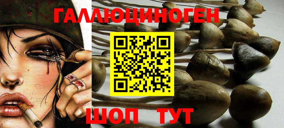 Котельники  Псилоцибиновые грибы Psilocybe  закладки  Вход с VPN  Псилоцибиновые грибы мухоморы 