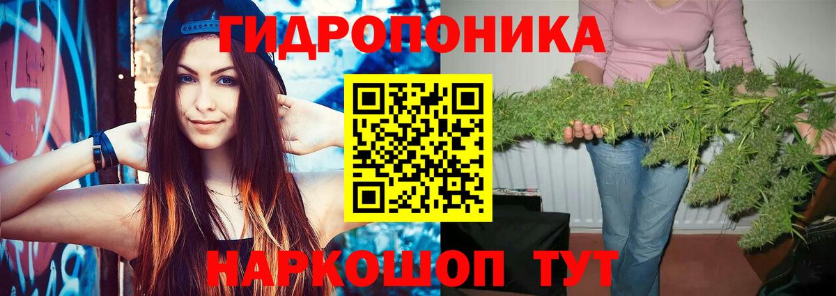 Шишки марихуана White Widow  Конопля тримм  Бошки марихуана тримм  Котельники  Вход с VPN  Бошки марихуана SATIVA & INDICA 